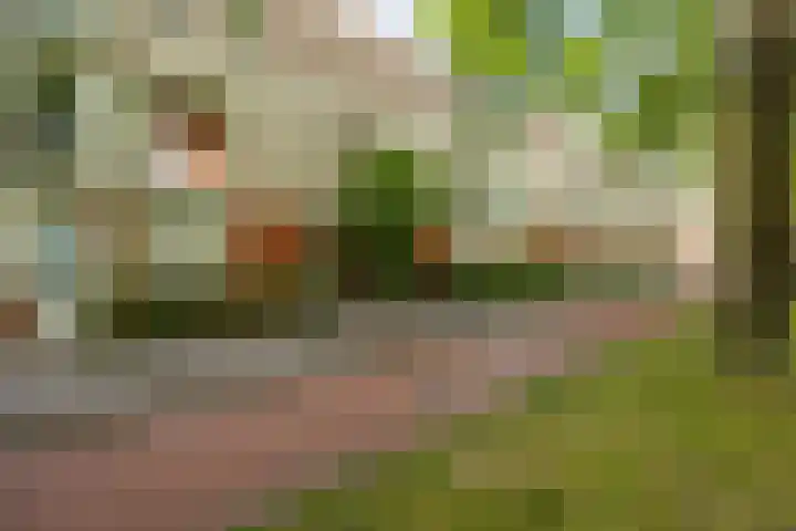 S.O.J. Palmelaan 165 Groningen thumbnail 30