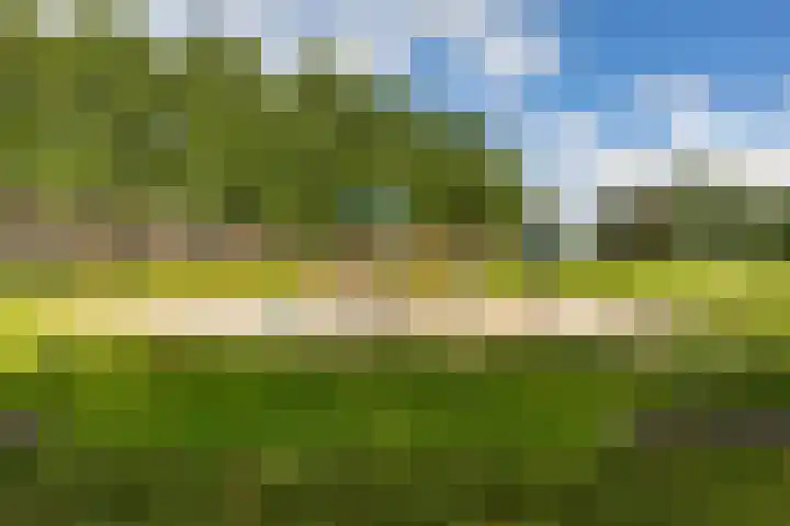S.O.J. Palmelaan 165 Groningen thumbnail 31