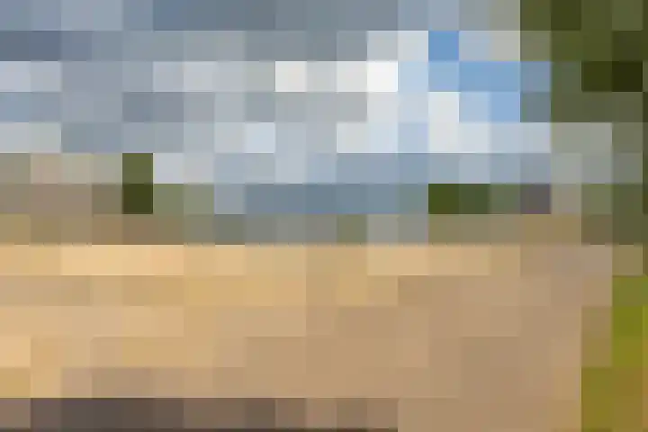 S.O.J. Palmelaan 165 Groningen thumbnail 32