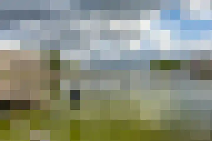 S.O.J. Palmelaan 165 Groningen thumbnail 33