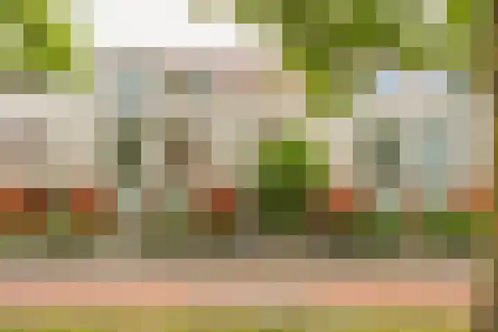 S.O.J. Palmelaan 165 Groningen thumbnail 37