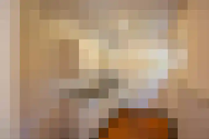S.O.J. Palmelaan 165 Groningen thumbnail 8