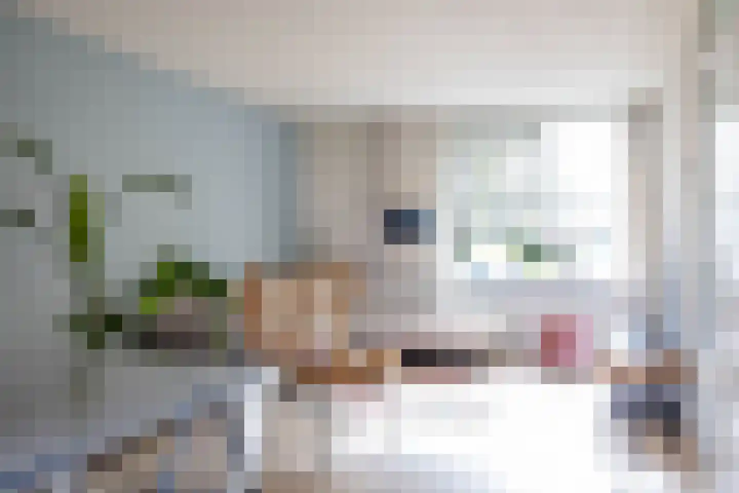 S.O.J. Palmelaan 167 Groningen thumbnail 18