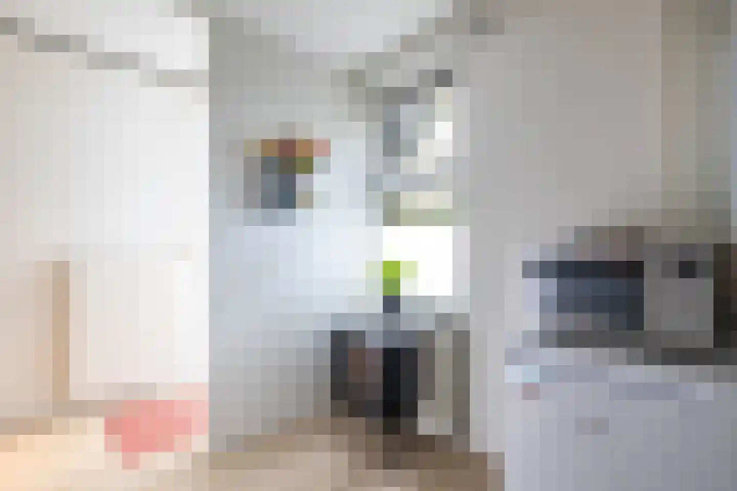 S.O.J. Palmelaan 167 Groningen thumbnail 23