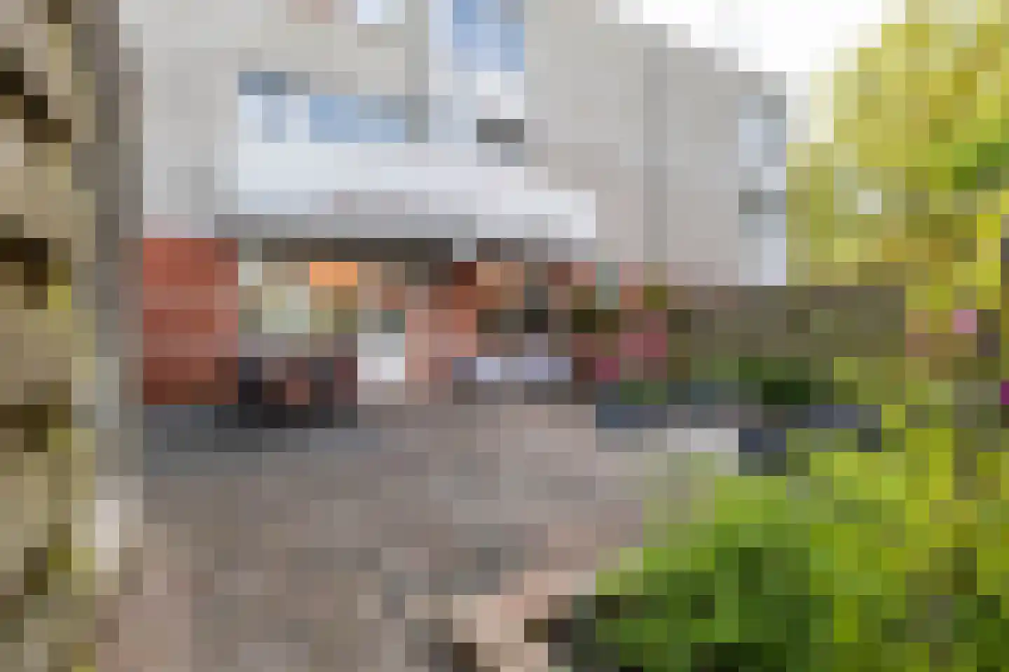 S.O.J. Palmelaan 167 Groningen thumbnail 33