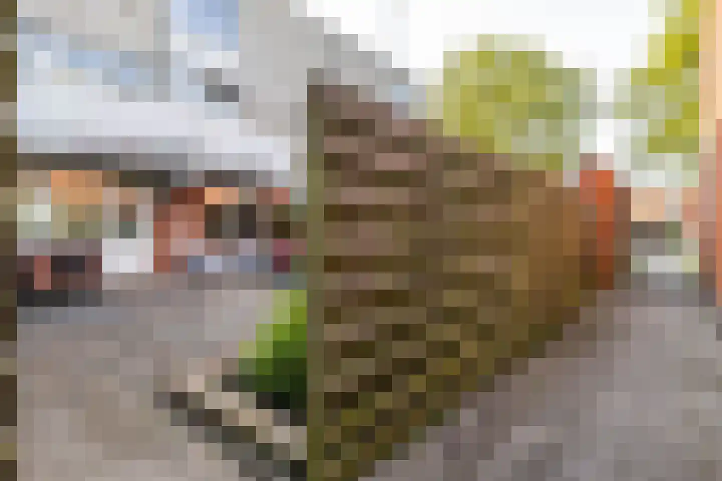 S.O.J. Palmelaan 167 Groningen thumbnail 37