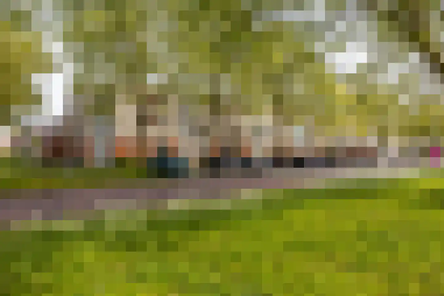 S.O.J. Palmelaan 167 Groningen thumbnail 4