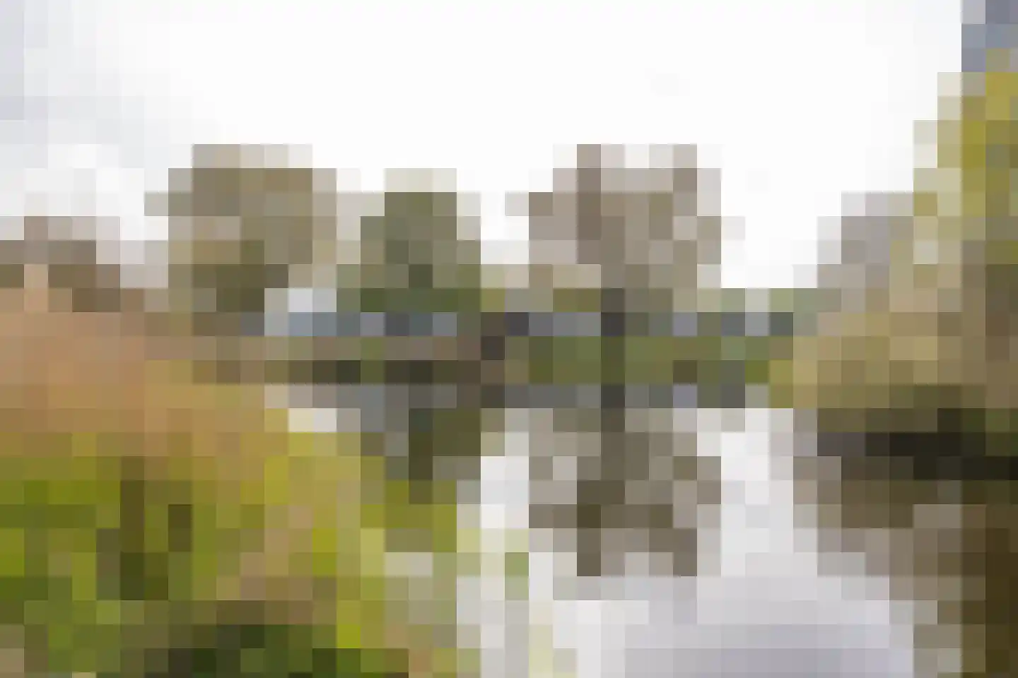 S.O.J. Palmelaan 167 Groningen thumbnail 40