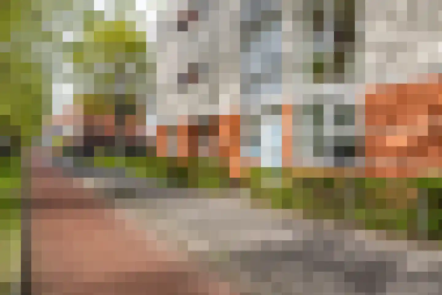 S.O.J. Palmelaan 167 Groningen thumbnail 7