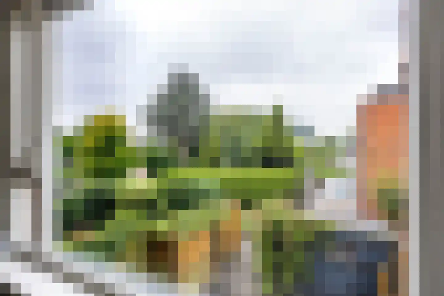 S.O.J. Palmelaan 191 Groningen thumbnail 25