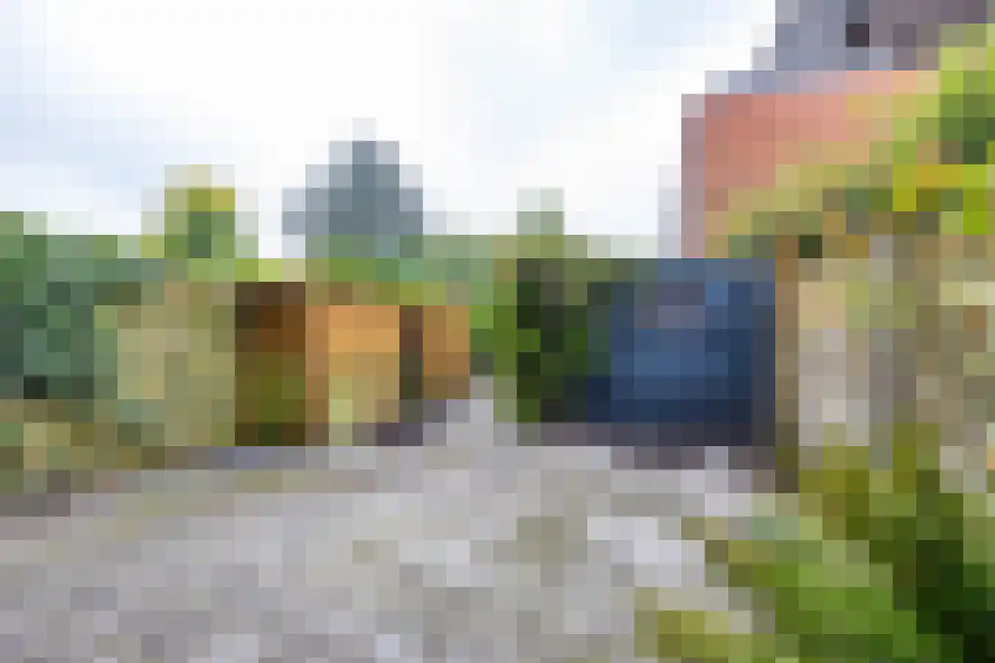 S.O.J. Palmelaan 191 Groningen thumbnail 42