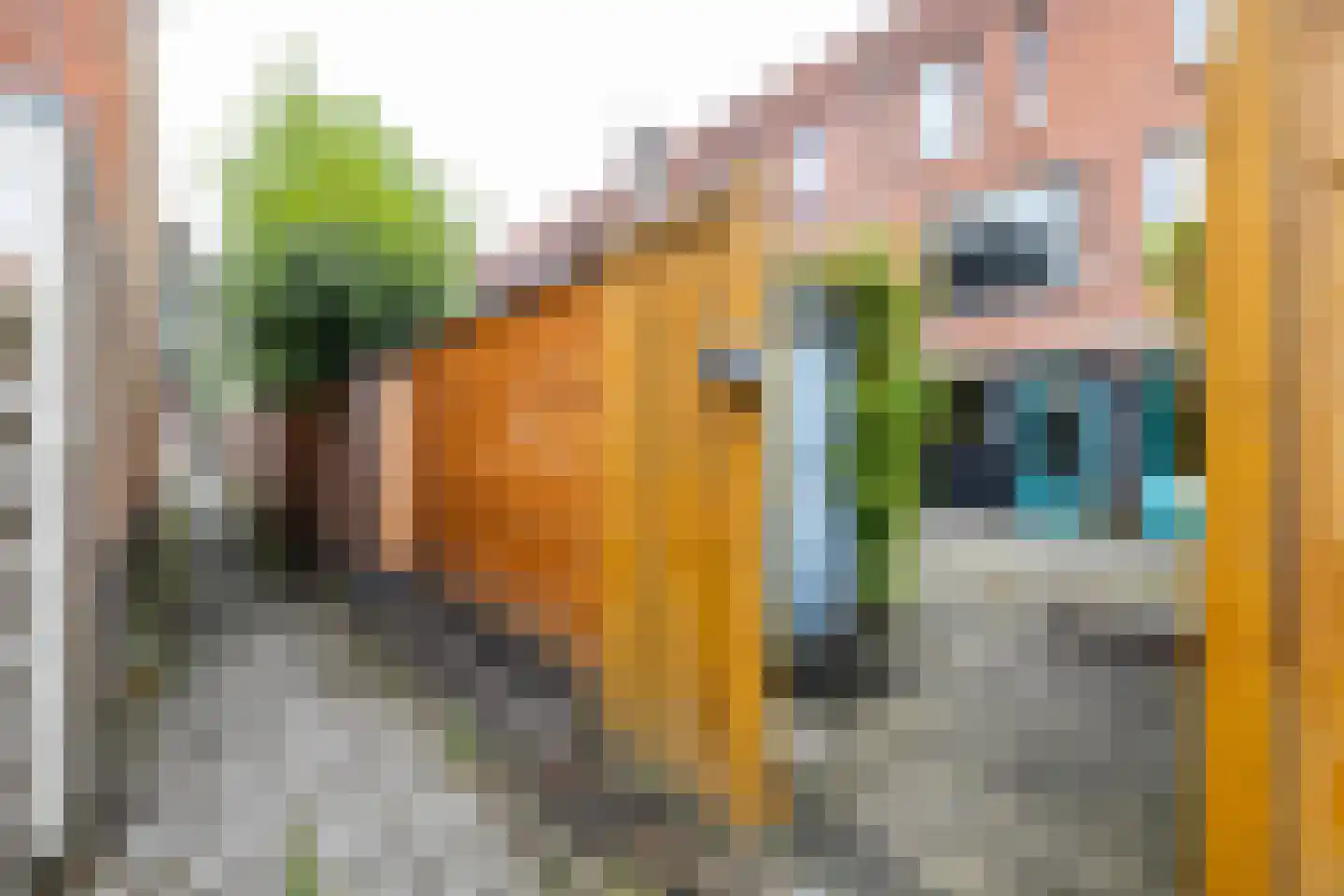 S.O.J. Palmelaan 191 Groningen thumbnail 43