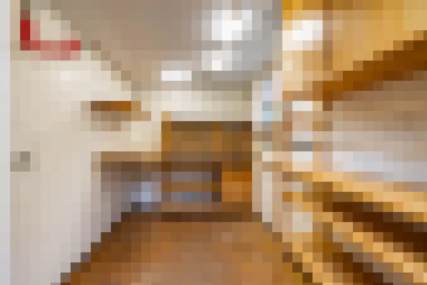 S.O.J. Palmelaan 191 Groningen thumbnail 45