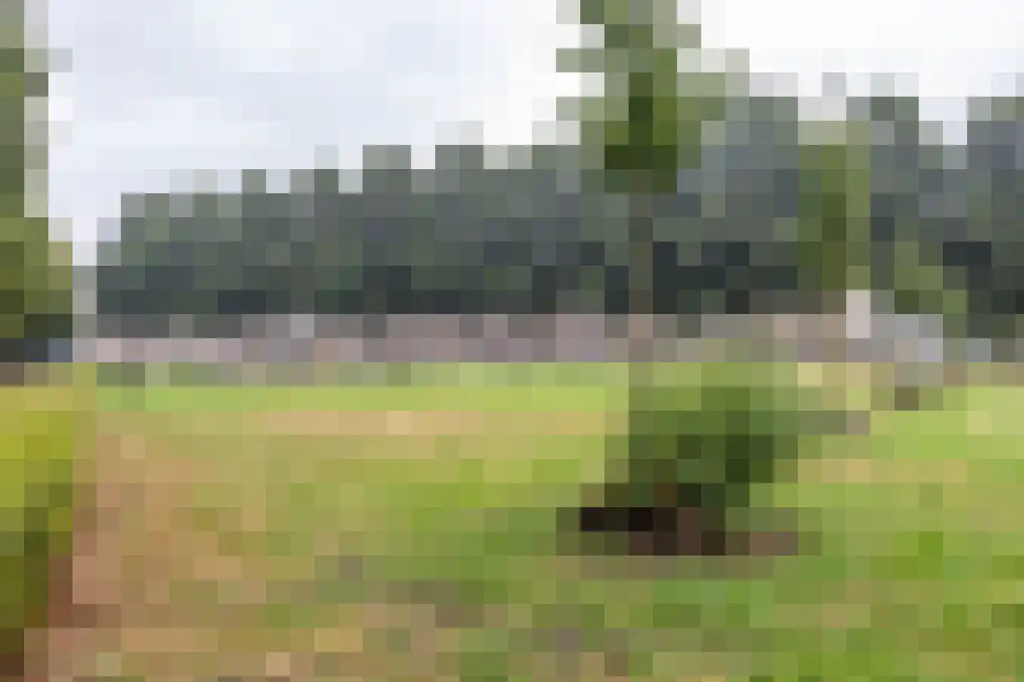 S.O.J. Palmelaan 191 Groningen thumbnail 47