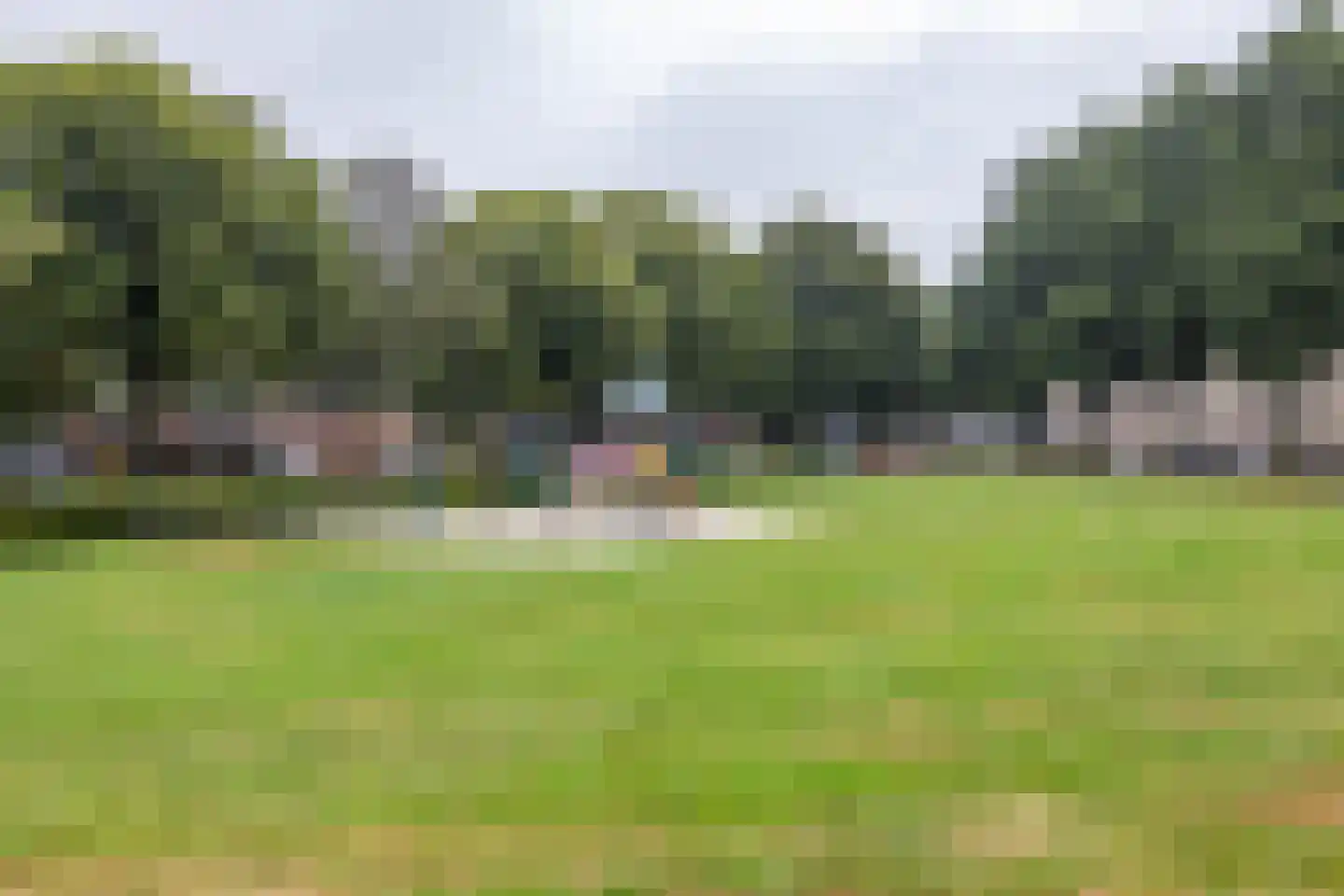 S.O.J. Palmelaan 191 Groningen thumbnail 48