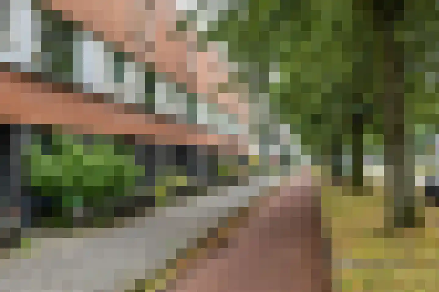 S.O.J. Palmelaan 191 Groningen thumbnail 8