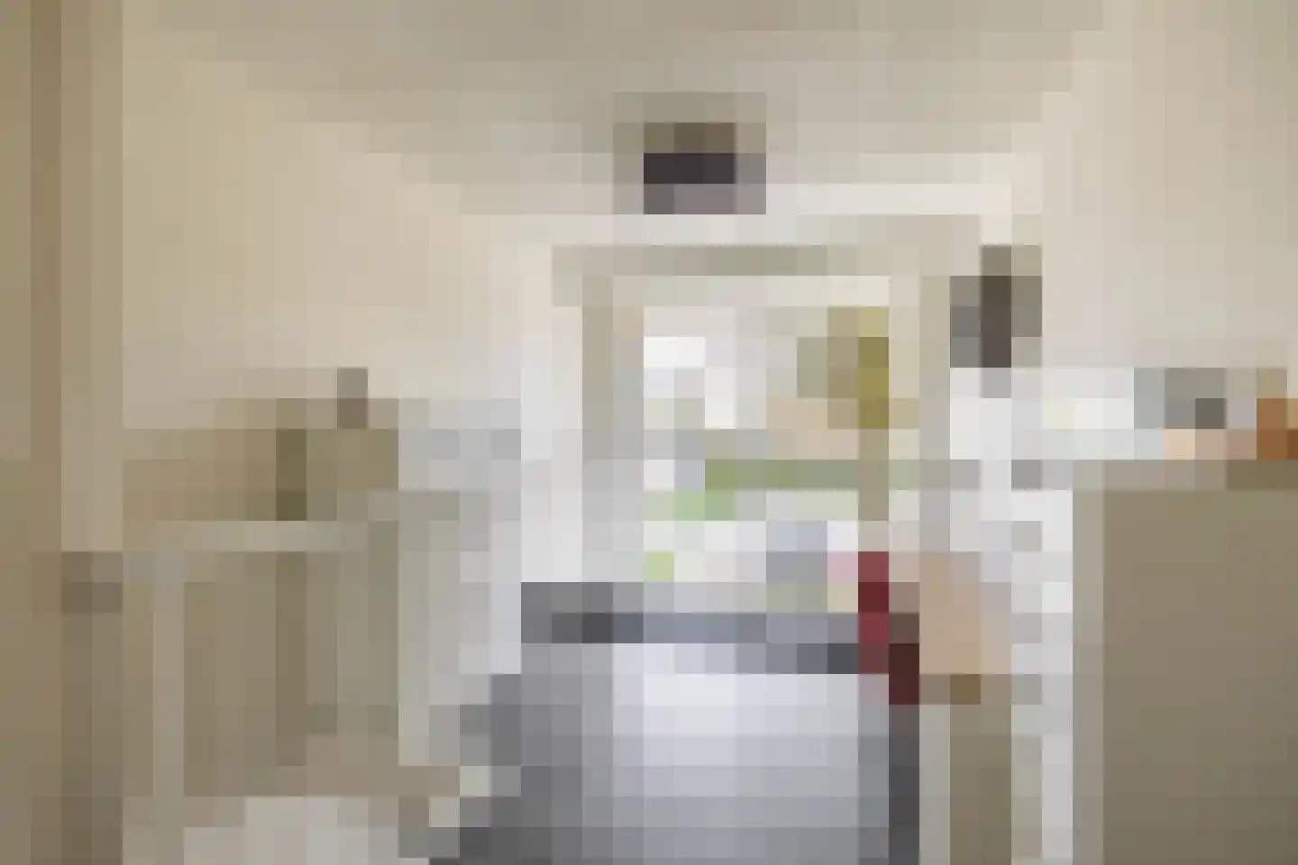 S.O.J. Palmelaan 203 Groningen thumbnail 14