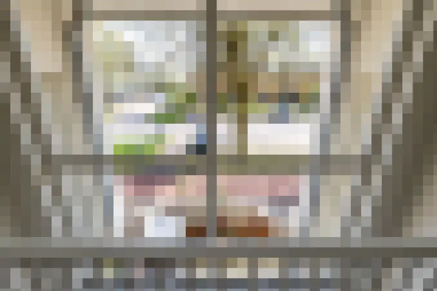 S.O.J. Palmelaan 203 Groningen thumbnail 15