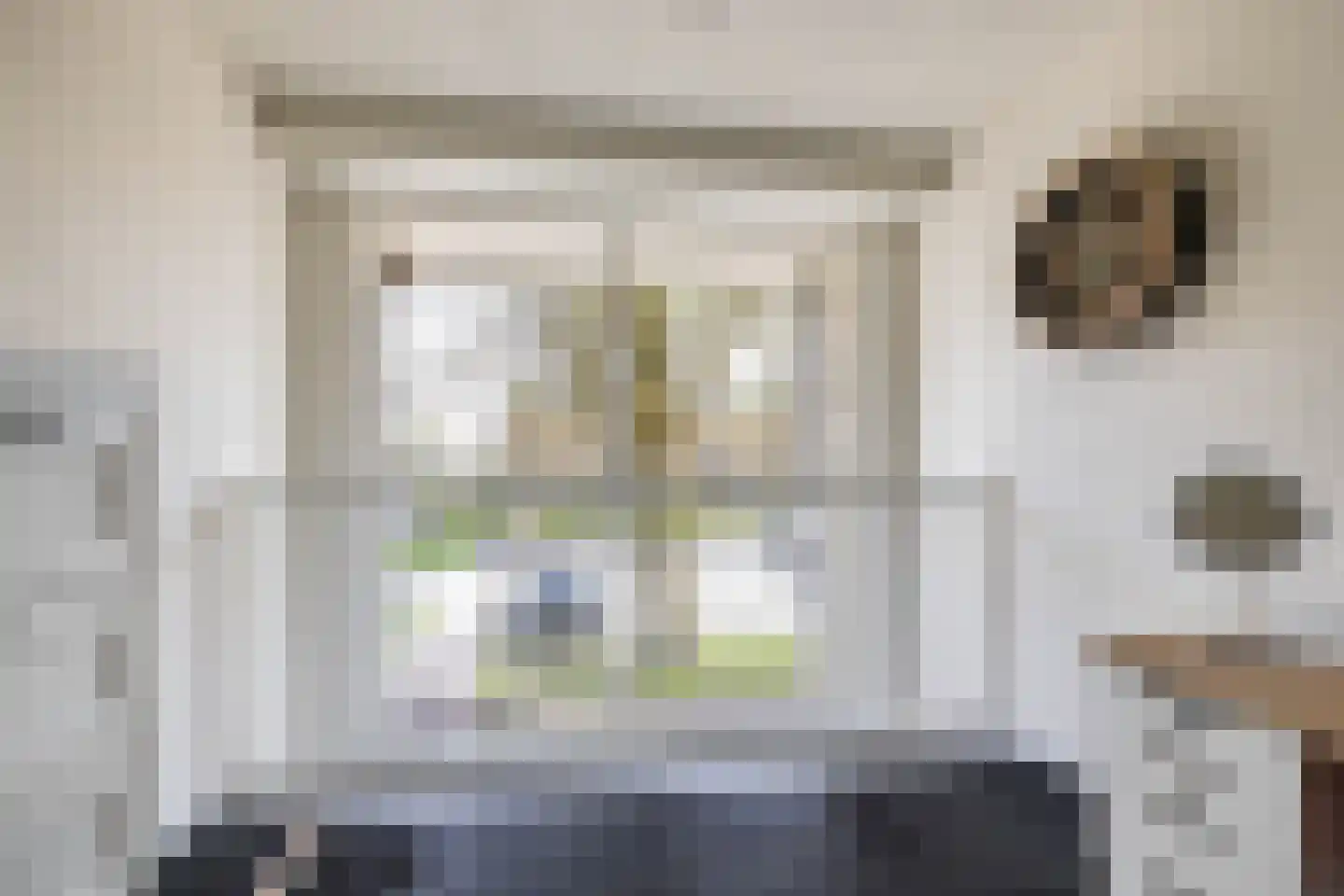 S.O.J. Palmelaan 203 Groningen thumbnail 22