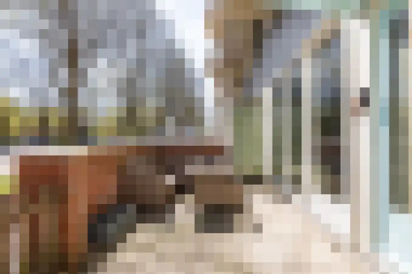 S.O.J. Palmelaan 203 Groningen thumbnail 28