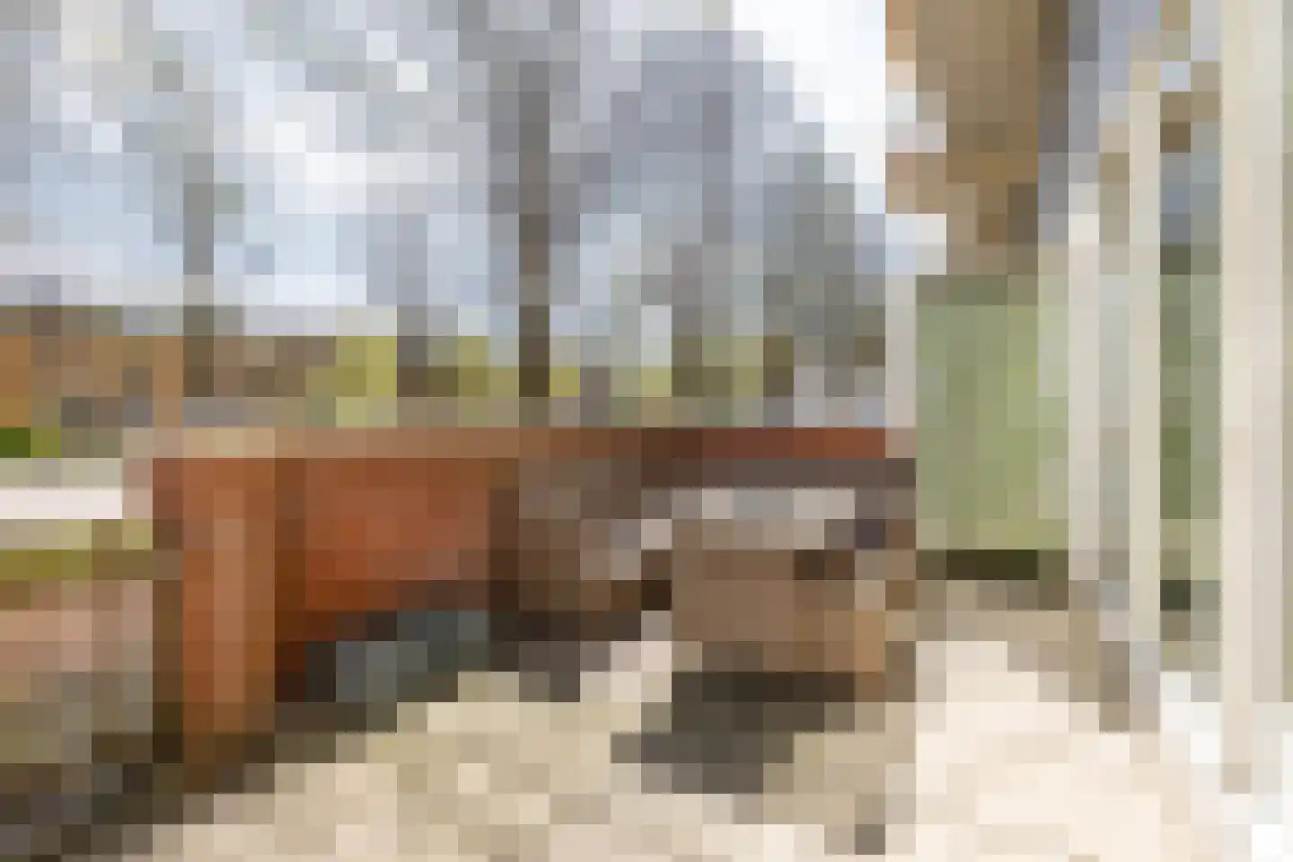 S.O.J. Palmelaan 203 Groningen thumbnail 29