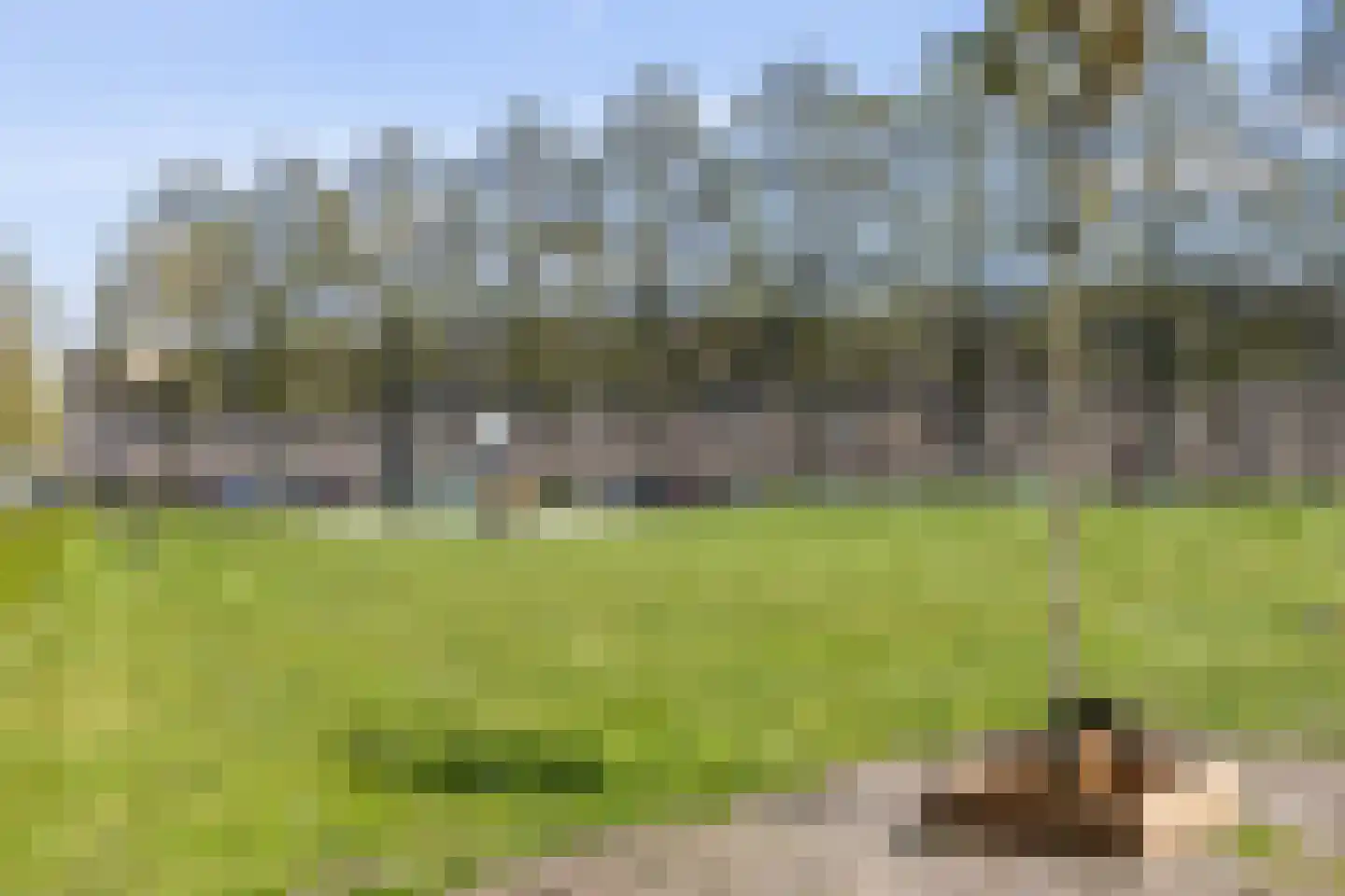 S.O.J. Palmelaan 203 Groningen thumbnail 36