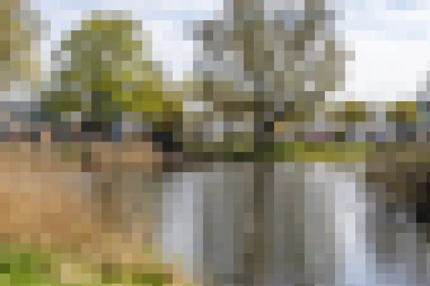 S.O.J. Palmelaan 203 Groningen thumbnail 37