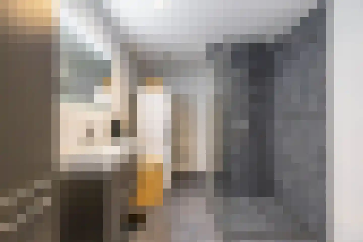 S.O.J. Palmelaan 203 Groningen thumbnail 4