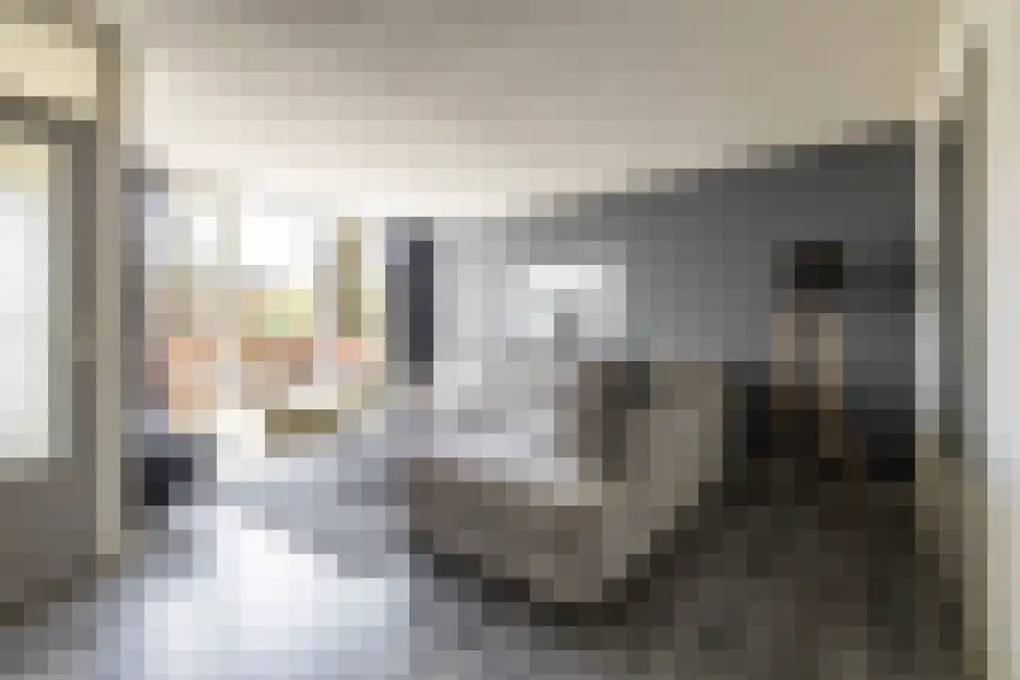 S.O.J. Palmelaan 203 Groningen thumbnail 6