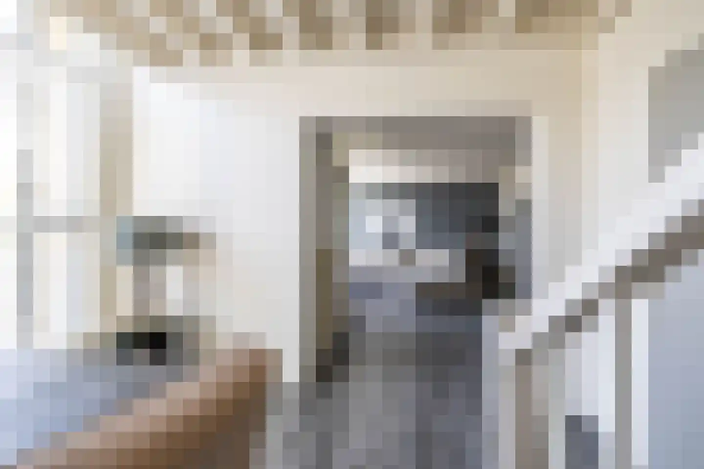 S.O.J. Palmelaan 203 Groningen thumbnail 8