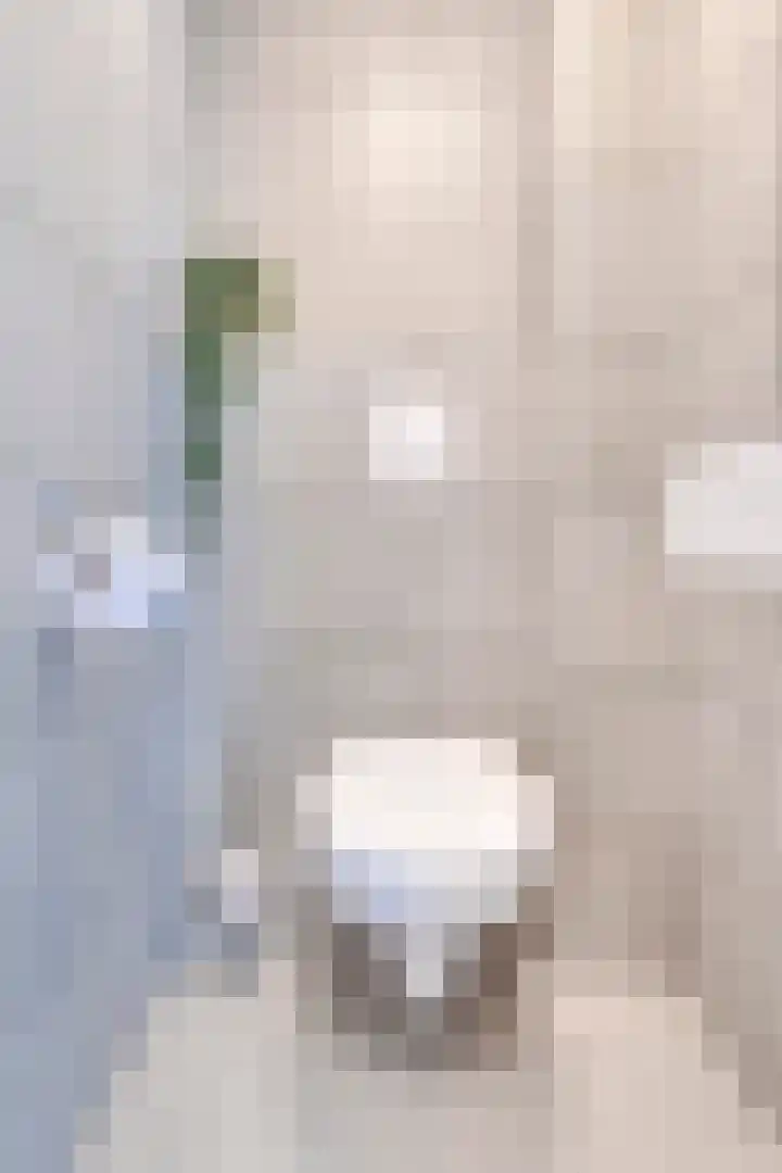 S.O.J. Palmelaan 209 Groningen thumbnail 13