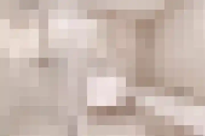 S.O.J. Palmelaan 209 Groningen thumbnail 15