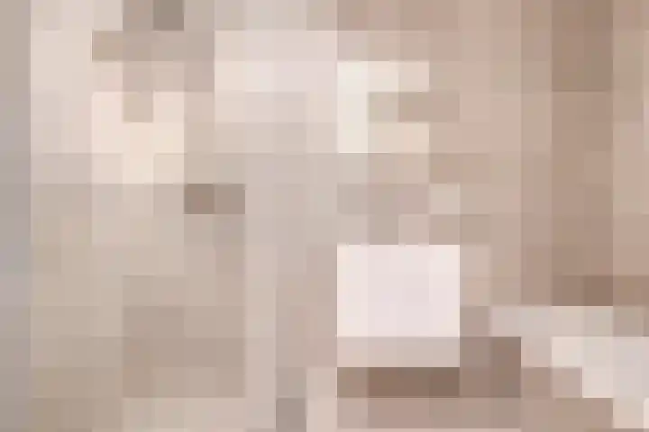S.O.J. Palmelaan 209 Groningen thumbnail 16