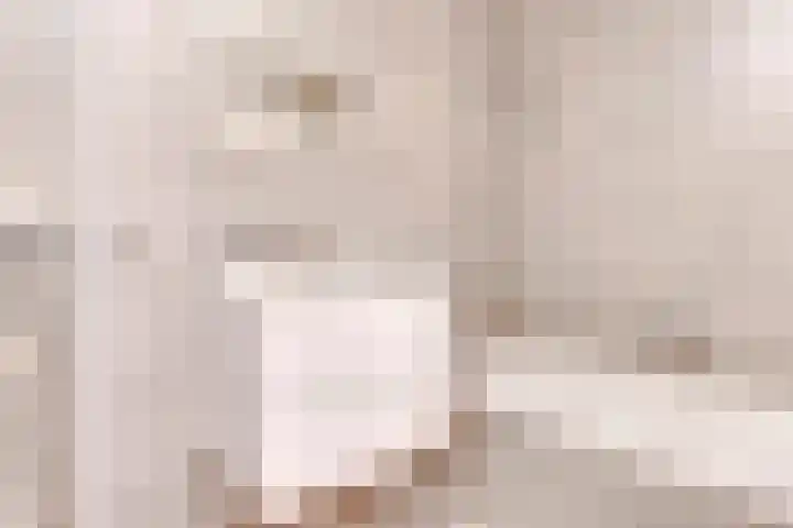 S.O.J. Palmelaan 209 Groningen thumbnail 17