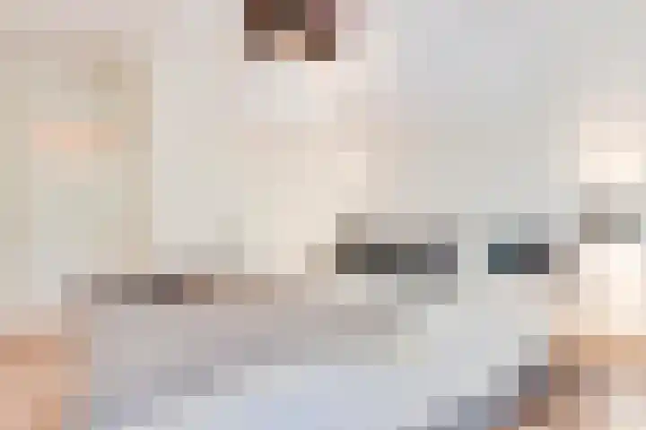 S.O.J. Palmelaan 209 Groningen thumbnail 20