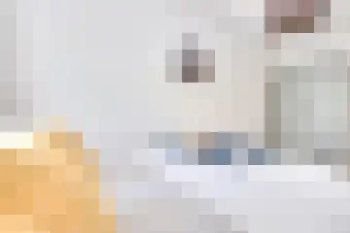 S.O.J. Palmelaan 209 Groningen thumbnail 25