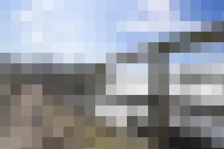 S.O.J. Palmelaan 209 Groningen thumbnail 28