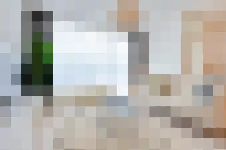 S.O.J. Palmelaan 209 Groningen thumbnail 4