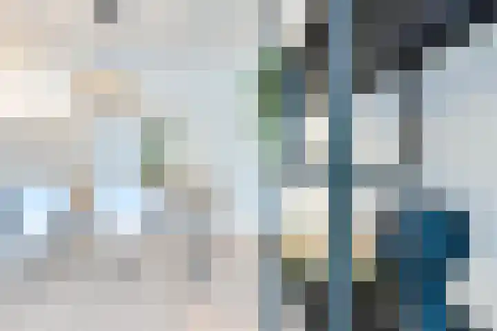 S.O.J. Palmelaan 209 Groningen thumbnail 8