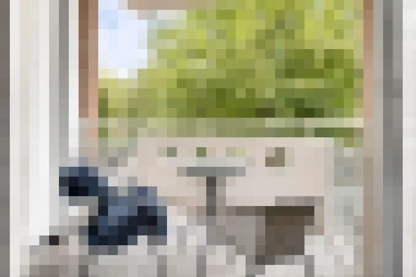 S.O.J. Palmelaan 243 Groningen thumbnail 12