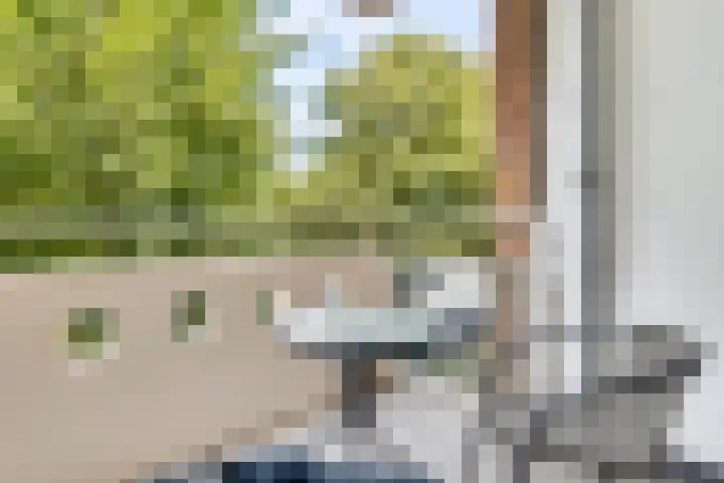 S.O.J. Palmelaan 243 Groningen thumbnail 13