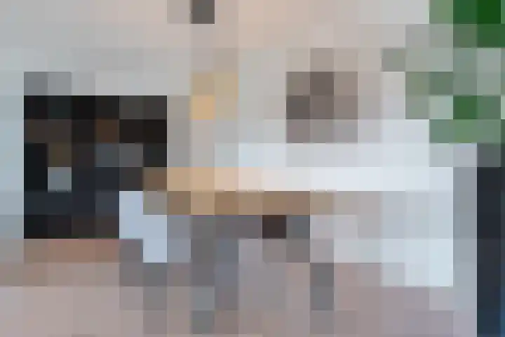 S.O.J. Palmelaan 255 Groningen thumbnail 11