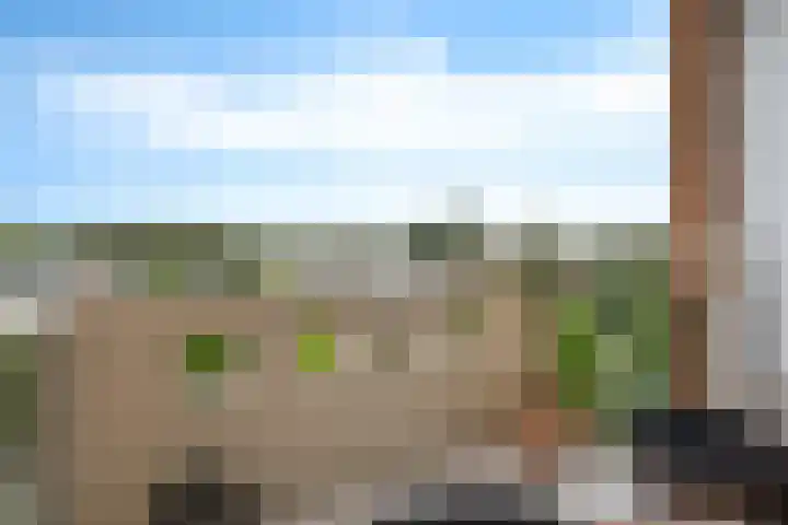 S.O.J. Palmelaan 255 Groningen thumbnail 14
