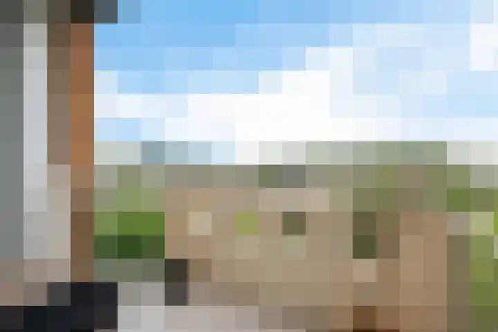 S.O.J. Palmelaan 255 Groningen thumbnail 15