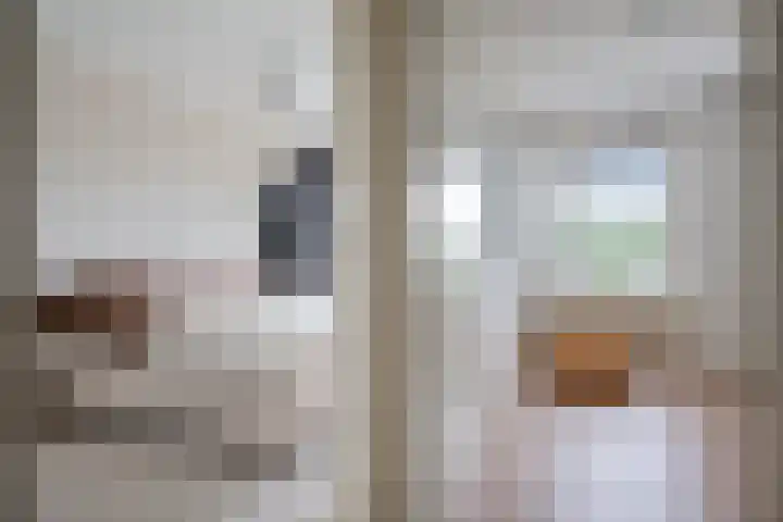 S.O.J. Palmelaan 255 Groningen thumbnail 16