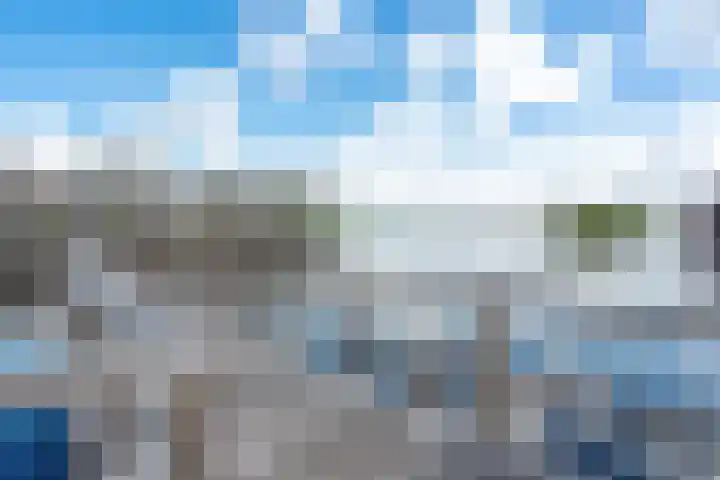 S.O.J. Palmelaan 255 Groningen thumbnail 27