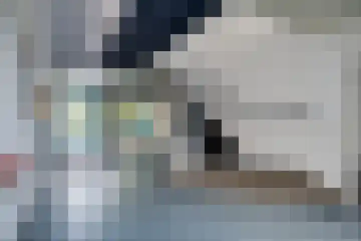 S.O.J. Palmelaan 255 Groningen thumbnail 29