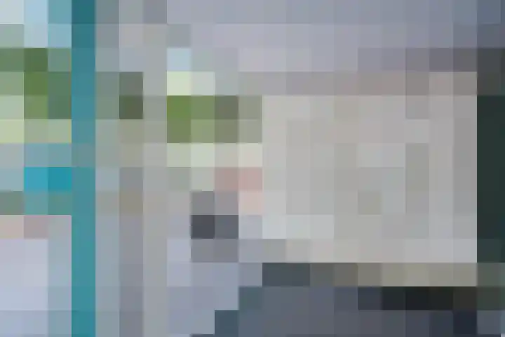 S.O.J. Palmelaan 255 Groningen thumbnail 30