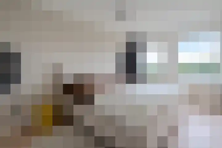 S.O.J. Palmelaan 255 Groningen thumbnail 4