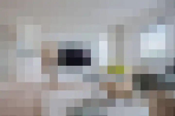 S.O.J. Palmelaan 255 Groningen thumbnail 6